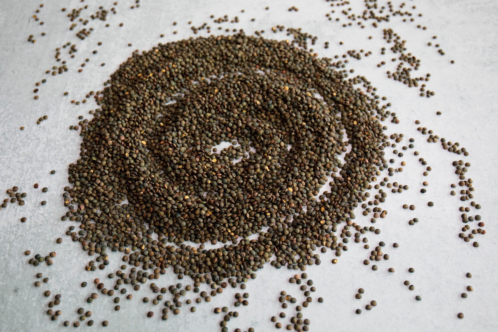 Beans Green French Lentils, 10 lb